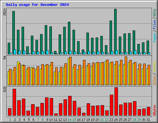 Daily usage for December 2024