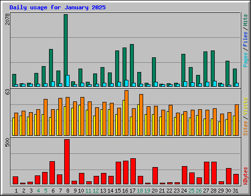 Daily usage for January 2025