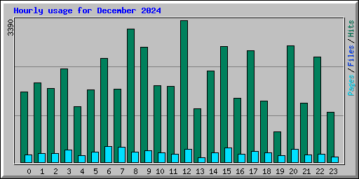 Hourly usage for December 2024