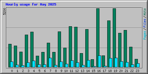 Hourly usage for May 2025