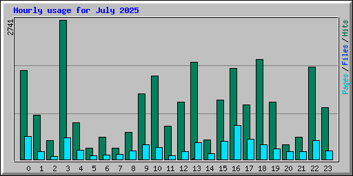 Hourly usage for July 2025