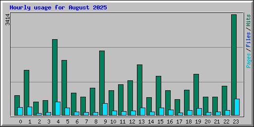 Hourly usage for August 2025