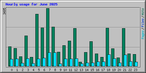Hourly usage for June 2025