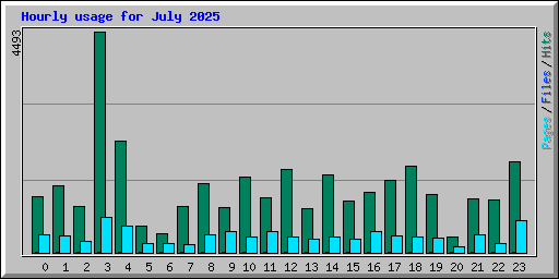 Hourly usage for July 2025