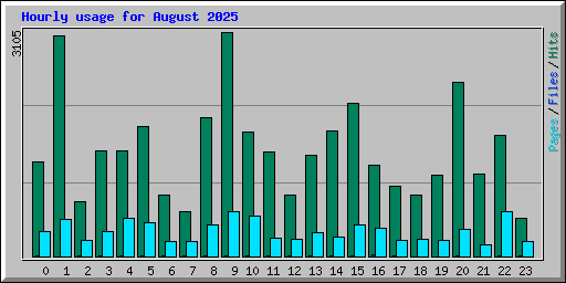 Hourly usage for August 2025