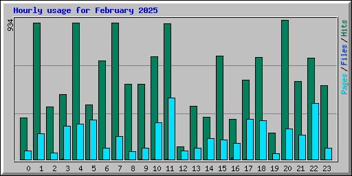 Hourly usage for February 2025