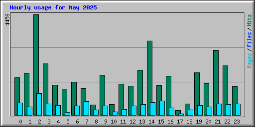Hourly usage for May 2025